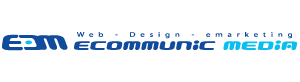 Website Design and Development, Professional Web Services Logo